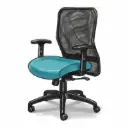 Lisa Netted Mid Back Synchro