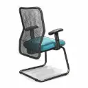 Lisa Netted Visitors Synchro